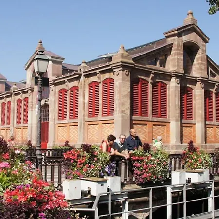 Apartment Center - Belle Alsace 2 - Bookingalsace